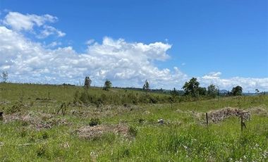 Agrícola en Venta en COD39264 A 5 minutos de Temuco Camino Temuco a Cholchol