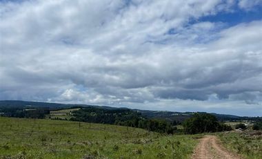 Agrícola en Venta en COD39264 A 5 minutos de Temuco Camino Temuco a Cholchol