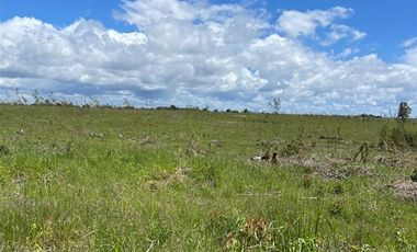Agrícola en Venta en COD39264 A 5 minutos de Temuco Camino Temuco a Cholchol