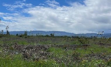 Agrícola en Venta en COD39264 A 5 minutos de Temuco Camino Temuco a Cholchol