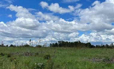 Agrícola en Venta en COD39264 A 5 minutos de Temuco Camino Temuco a Cholchol