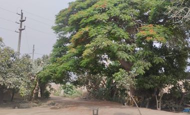 Venta De Terreno Agricola En Carabayllo