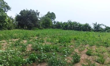 Venta De Terreno Agricola En Carabayllo
