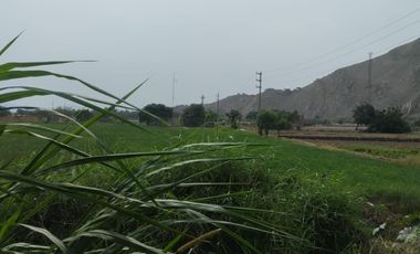 Venta De Terreno Agricola En Carabayllo
