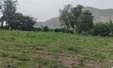 Venta De Terreno Agricola En Carabayllo