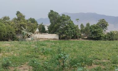 Venta De Terreno Agricola En Carabayllo