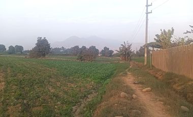 Venta De Terreno Agricola En Caudivilla Carabayllo