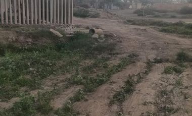 Venta De Terreno Agricola En Caudivilla Carabayllo