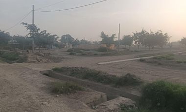 Venta De Terreno Agricola En Caudivilla Carabayllo