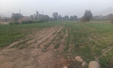 Venta De Terreno Agricola En Caudivilla Carabayllo