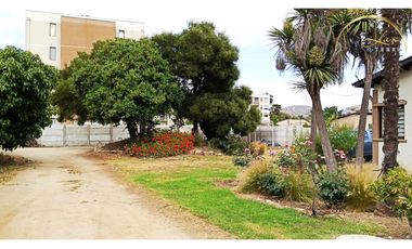 Casona | Comercial | Limache