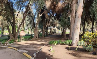 CAMINO VIEJO 150, HORCÓN