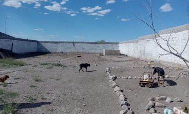 Venta de Granja, Col.Felipe Angeles