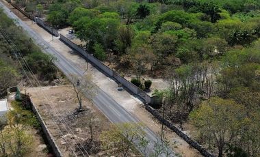 QUINTA EN VENTA CON 5.6 HECTAREAS Y CENOTE EN TEKAT YUCATAN