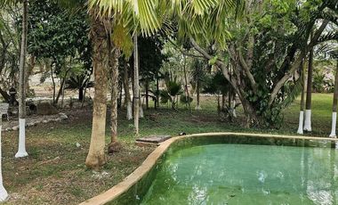 QUINTA EN VENTA CON 5.6 HECTAREAS Y CENOTE EN TEKAT YUCATAN