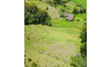 Finca en llanogrande