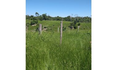 VENTA DE FINCA SABANA DE TORRES VIA PANAMERICANA COD:1074