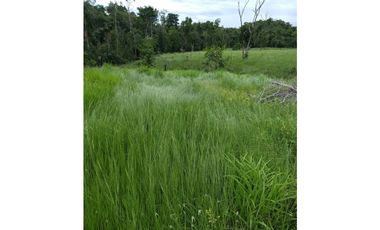 VENTA DE FINCA SABANA DE TORRES VIA PANAMERICANA COD:1074