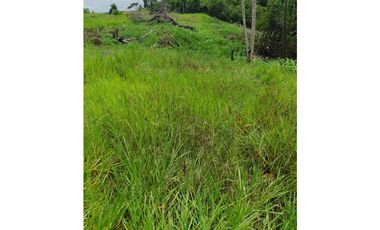 VENTA DE FINCA SABANA DE TORRES VIA PANAMERICANA COD:1074