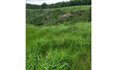 VENTA DE FINCA SABANA DE TORRES VIA PANAMERICANA COD:1074