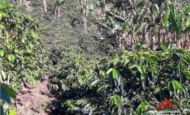 Finca en Altagracia, Pereira