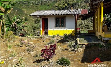 Finca en Altagracia, Pereira