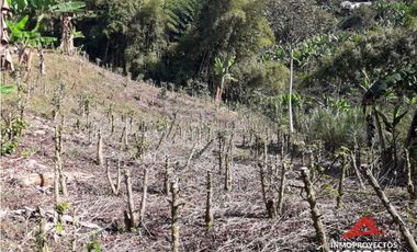 Finca en Altagracia, Pereira