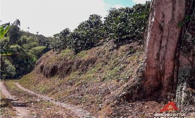 Finca en Altagracia, Pereira