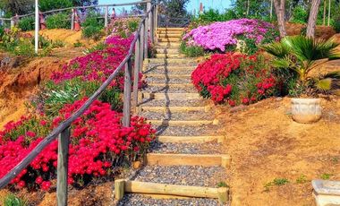 Parcela en Venta en Ruta i-578 Ranguil Bajo