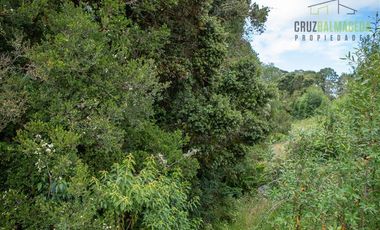 Parcela en Venta en fundo las cumbres