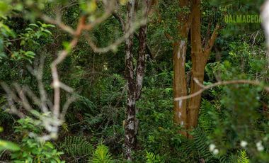 Parcela en Venta en fundo las cumbres