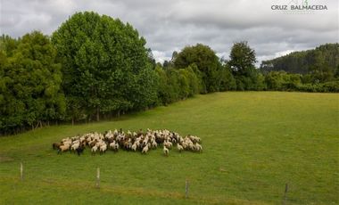 Parcela en Venta en Orilla del Río Maullín