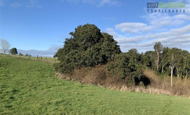 Parcela en Venta en Loteo Los Copihues de Puerto Varas