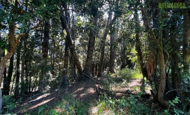 Parcela en Venta en Rio Pescado