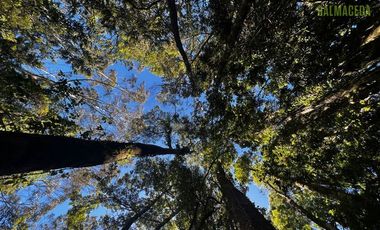 Parcela en Venta en Rio Pescado