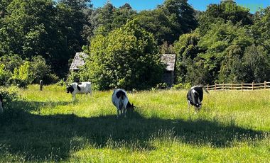 Parcela en Venta en Rio Pescado