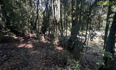 Parcela en Venta en Rio Pescado