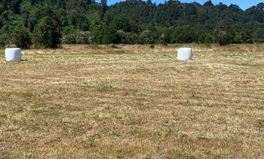 Parcela en Venta en Condominio Parque del Arrayán