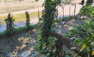 00311 Casa en alquiler temporario c/ cochera en Villa Cura Brochero