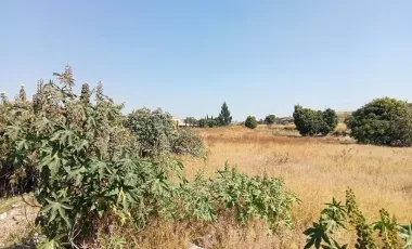 Terreno Rustico a pie de Carretera Federal a Atlixco – Puebla “Las Cruces”,