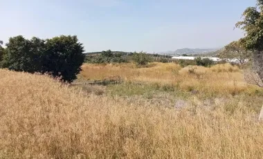 Terreno Rustico a pie de Carretera Federal a Atlixco – Puebla “Las Cruces”,