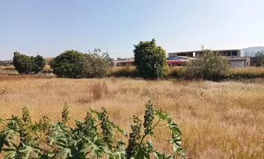 Terreno Rustico a pie de Carretera Federal a Atlixco – Puebla “Las Cruces”,