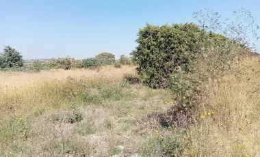 Terreno Rustico a pie de Carretera Federal a Atlixco – Puebla “Las Cruces”,