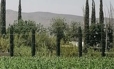 Terreno en Venta en Ciudad Juárez, Lerdo, Durango