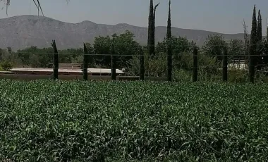 Terreno en Venta en Ciudad Juárez, Lerdo, Durango