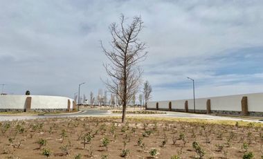 Terreno en Venta en La Barranca, Torreón, Coahuila de Zaragoza