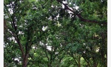 Finca-Rancho en Venta en Agua de los Padres, Parras, Coahuila de Zaragoza