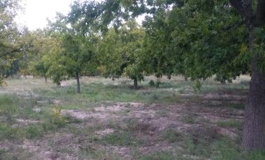 Finca-Rancho en Venta en Agua de los Padres, Parras, Coahuila de Zaragoza