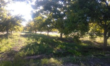 Finca-Rancho en Venta en Agua de los Padres, Parras, Coahuila de Zaragoza