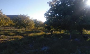 Finca-Rancho en Venta en Agua de los Padres, Parras, Coahuila de Zaragoza